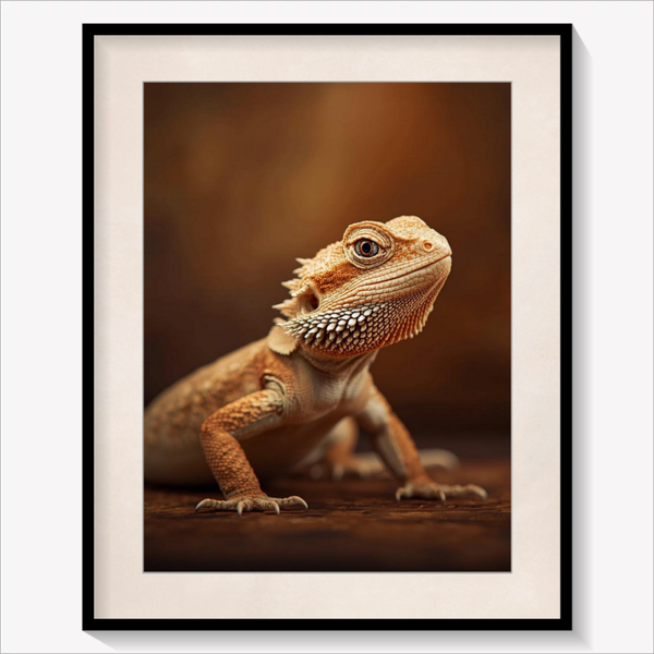 Bearded Dragon