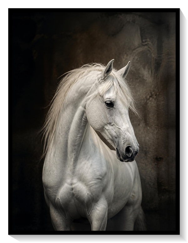 White Stallion