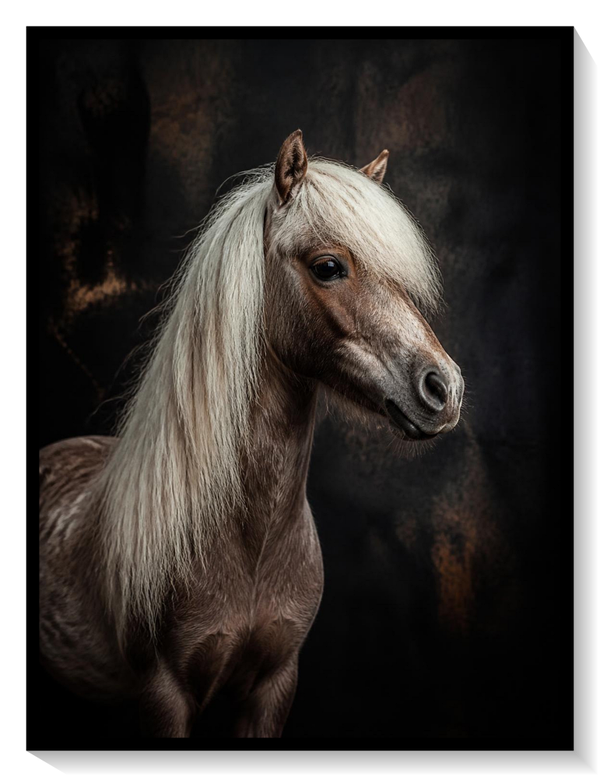 The Pony