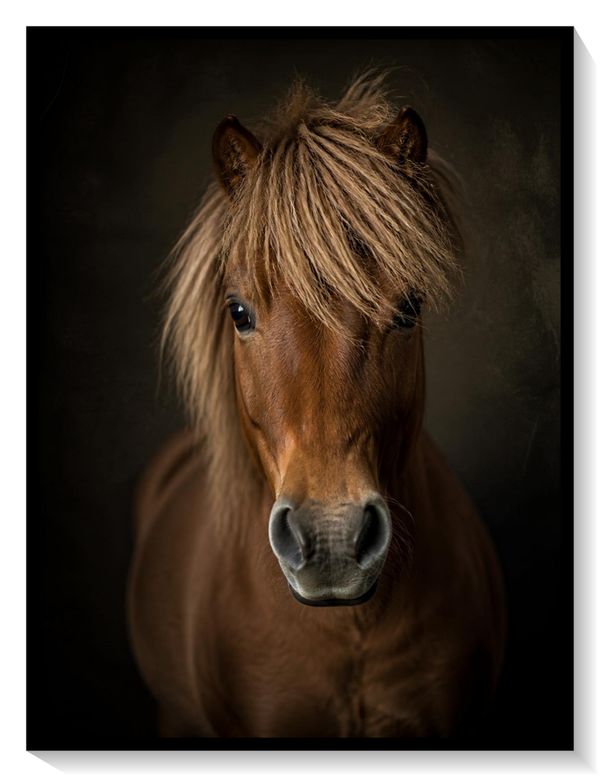 Golden Chestnut