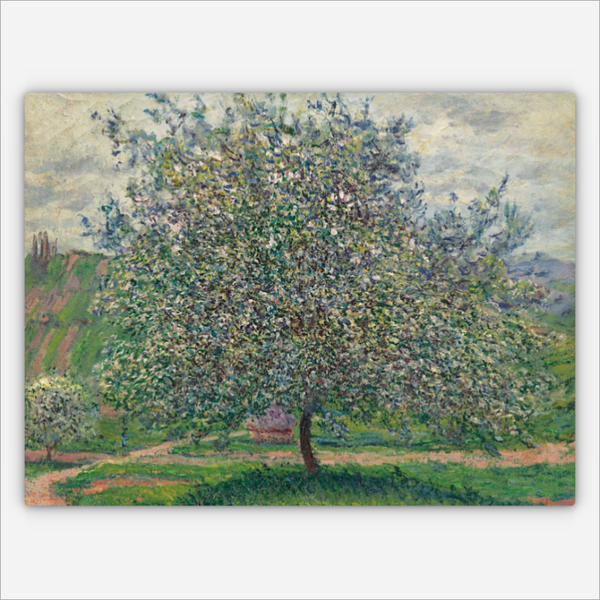 Der Apfelbaum