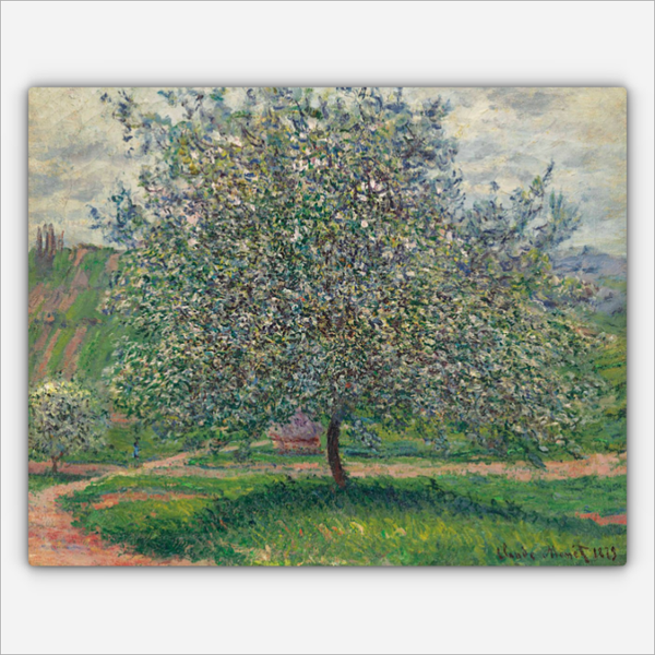 Der Apfelbaum