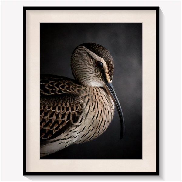 The Quiet Guest