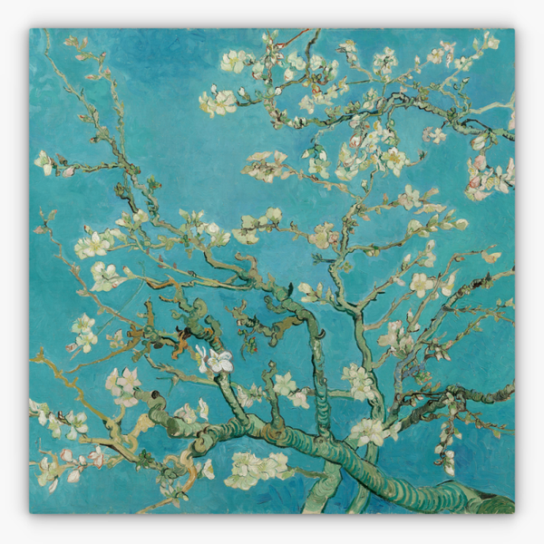 Art Nr. 02.999.619