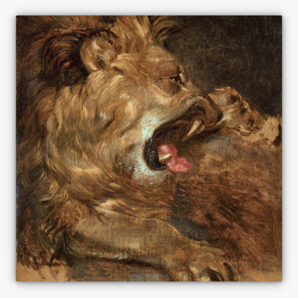 Art Nr. 02.999.677