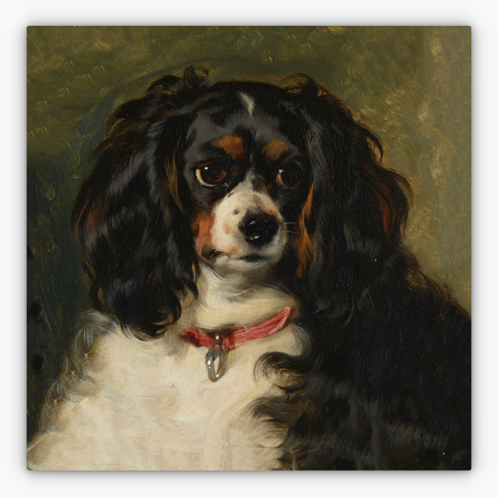 Art Nr. 02.999.681