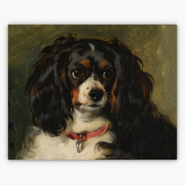 Art Nr. 02.999.681