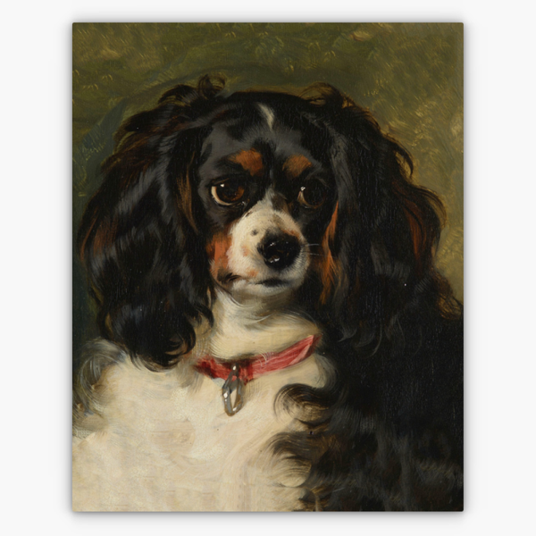 Art Nr. 02.999.681