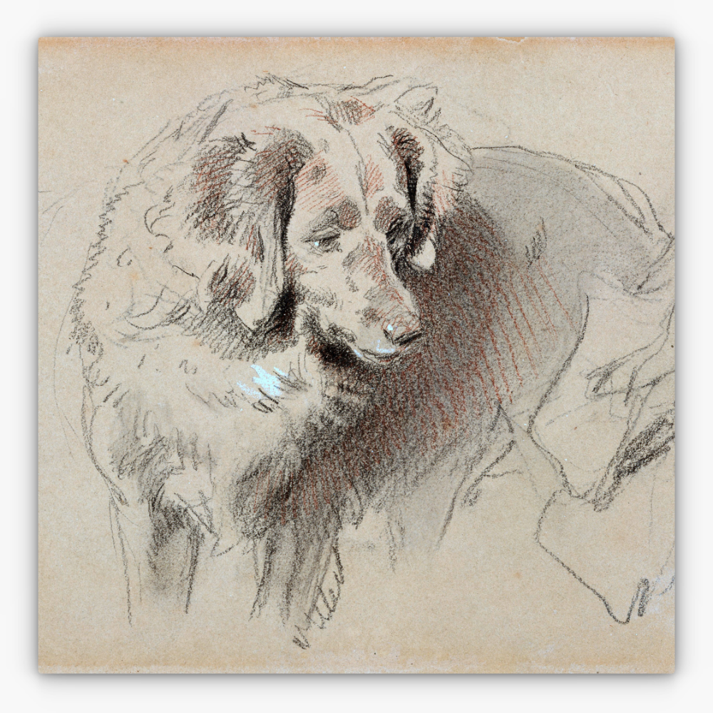 Art Nr. 02.999.682