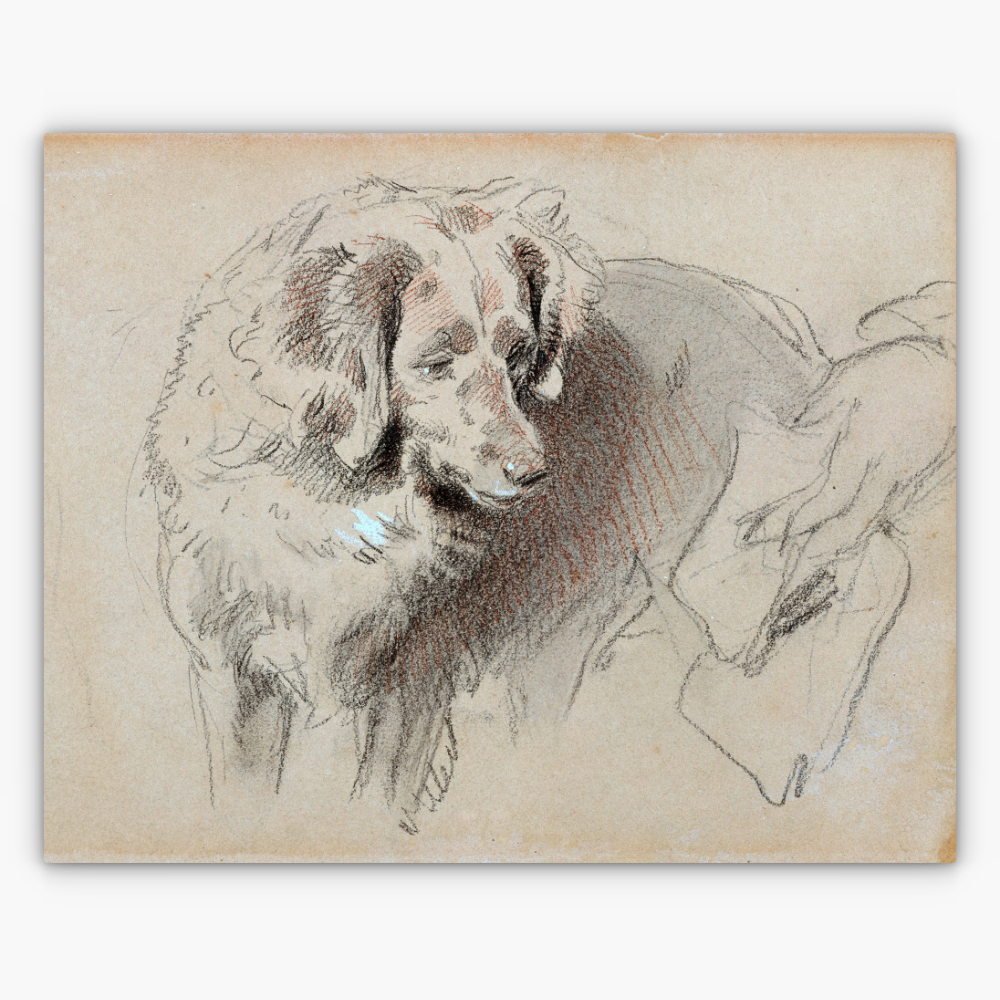 Art Nr. 02.999.682