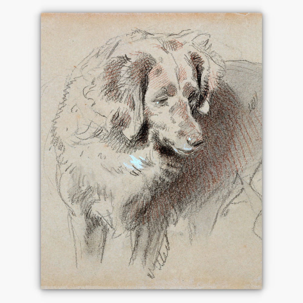 Art Nr. 02.999.682