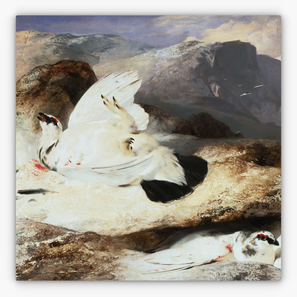 Art Nr. 02.999.685