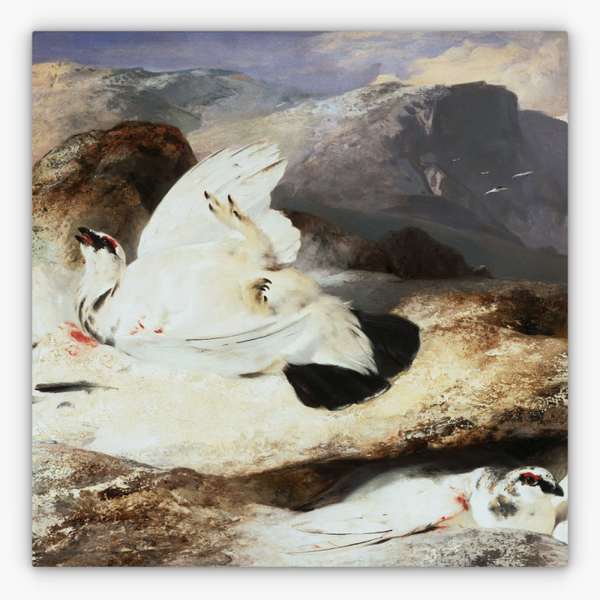 Art Nr. 02.999.685