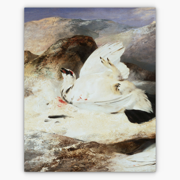 Art Nr. 02.999.685