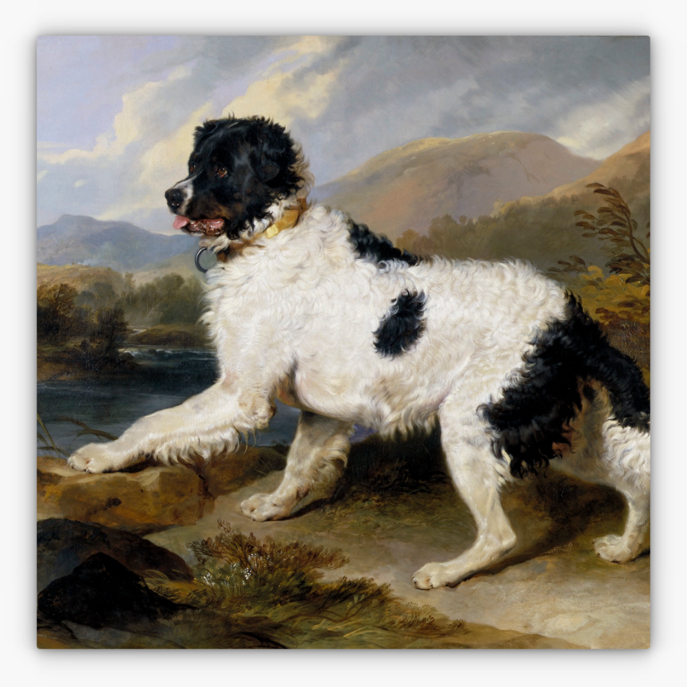 Art Nr. 02.999.689
