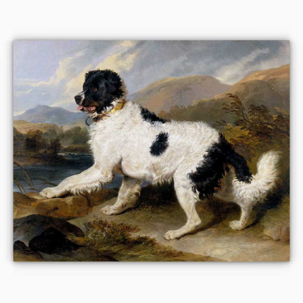 Art Nr. 02.999.689