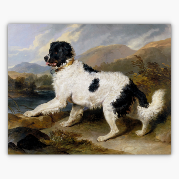 Art Nr. 02.999.689