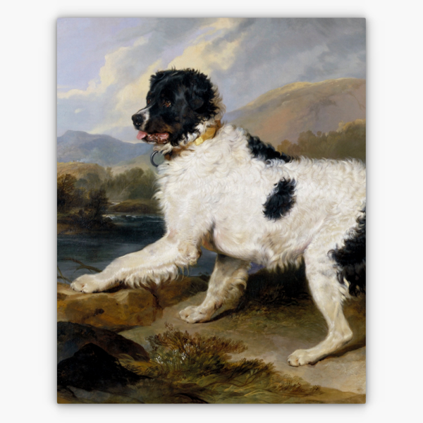 Art Nr. 02.999.689