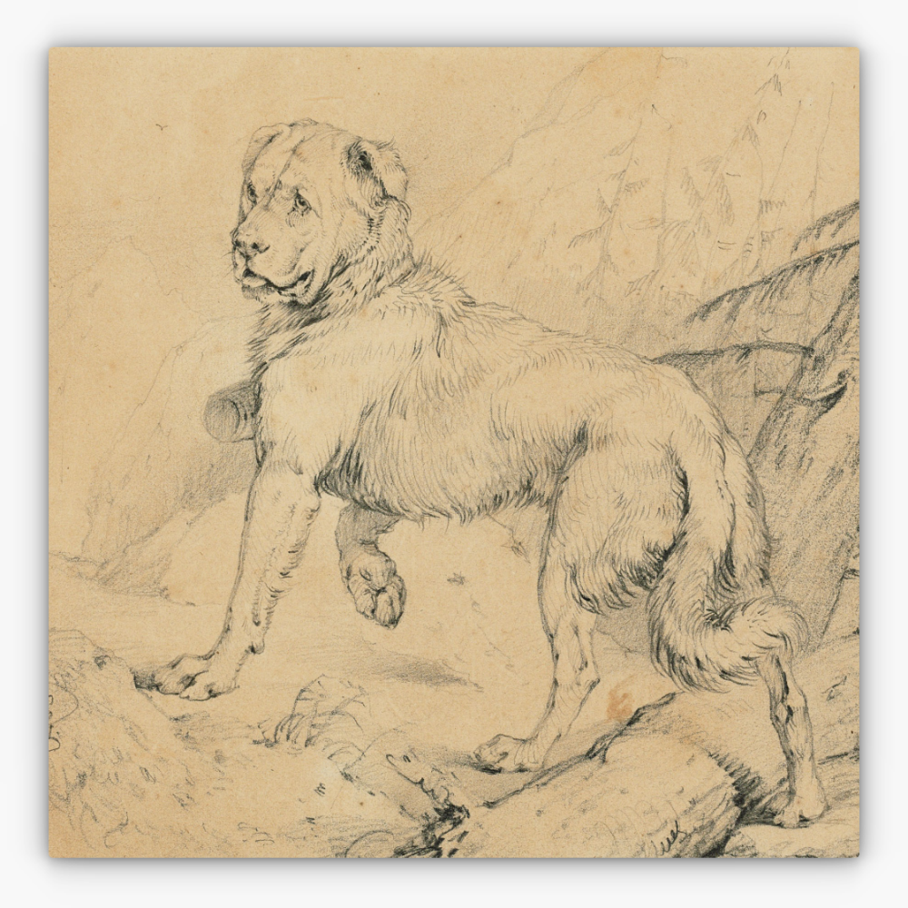 Art Nr. 02.999.694