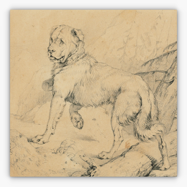 Art Nr. 02.999.694