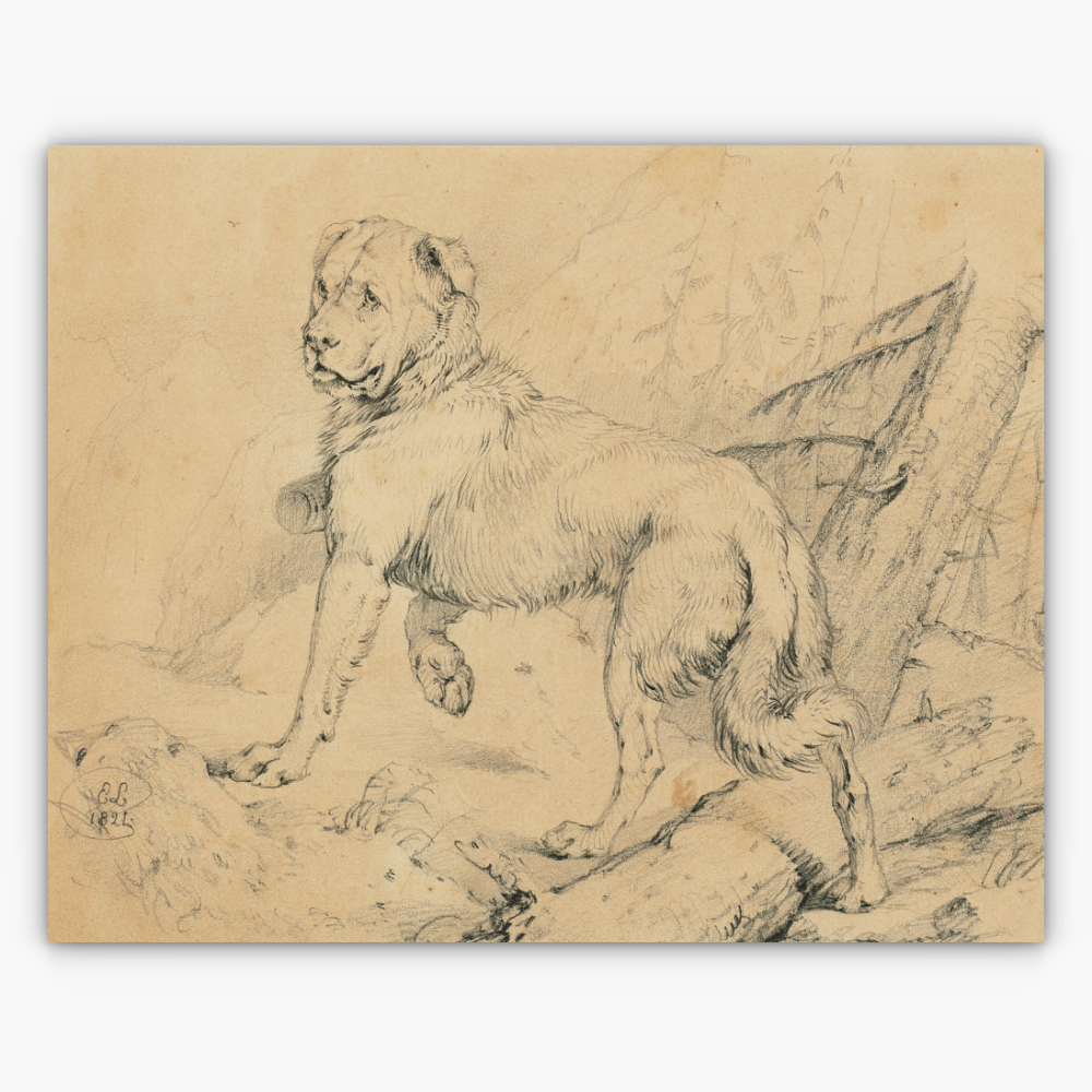 Art Nr. 02.999.694