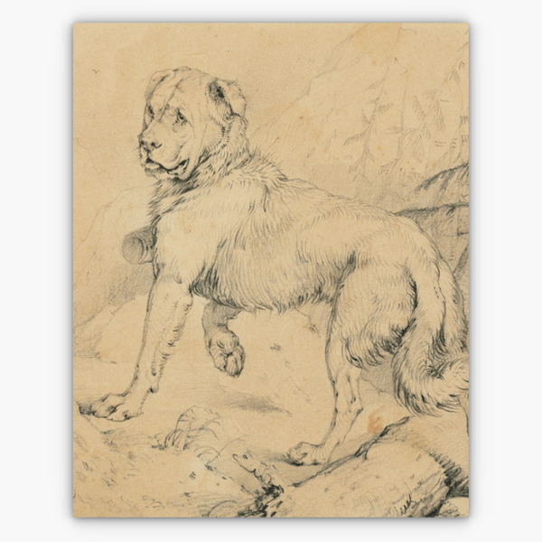 Art Nr. 02.999.694