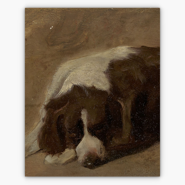 Art Nr. 02.999.695