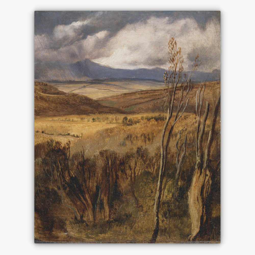 Art Nr. 02.999.699