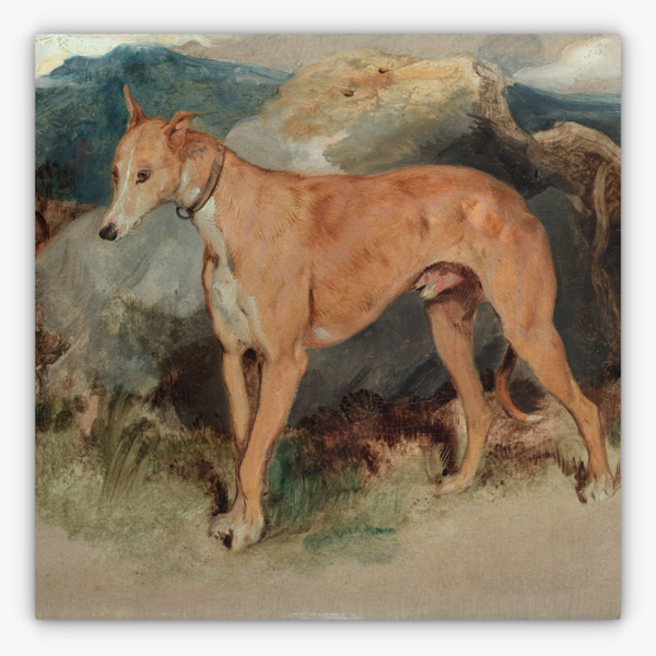 Art Nr. 02.999.700