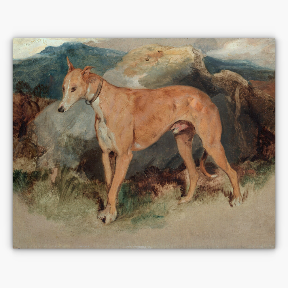 Art Nr. 02.999.700