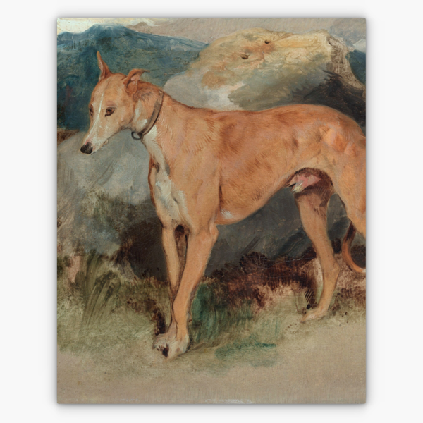Art Nr. 02.999.700