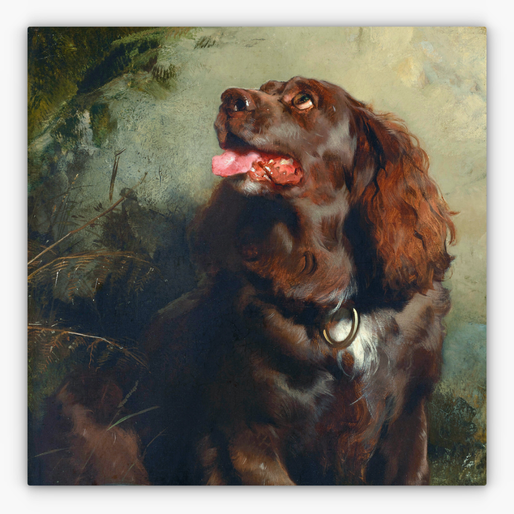 Art Nr. 02.999.702