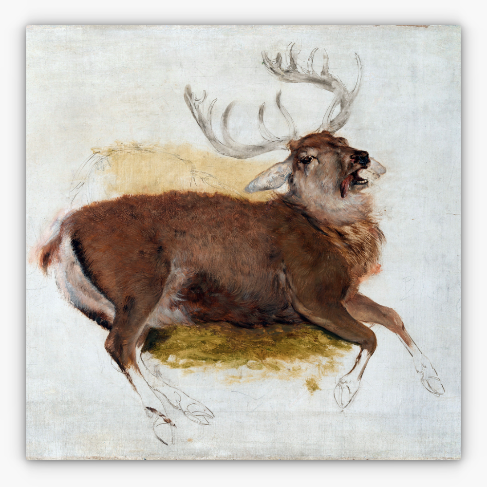 Art Nr. 02.999.703