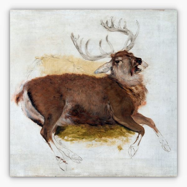 Art Nr. 02.999.703