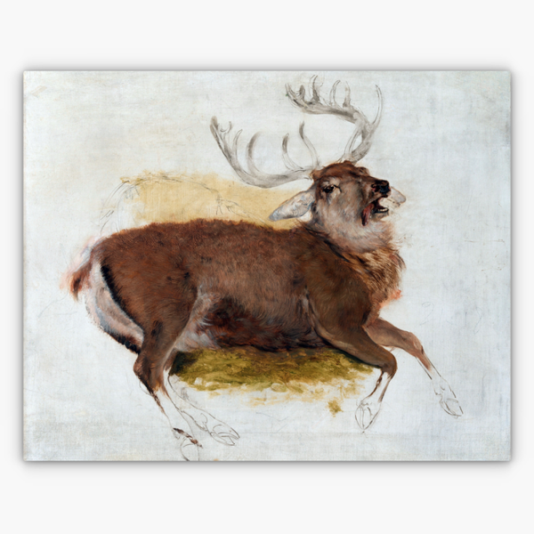 Art Nr. 02.999.703