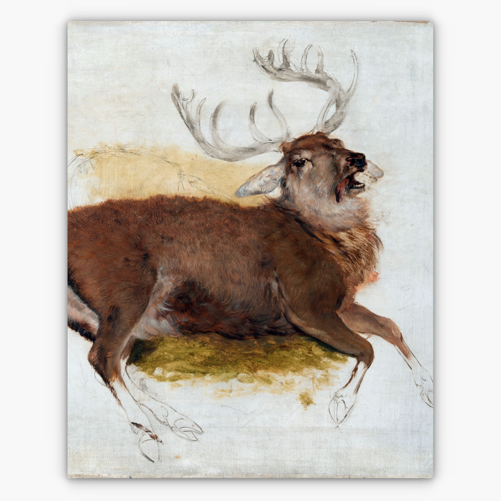 Art Nr. 02.999.703