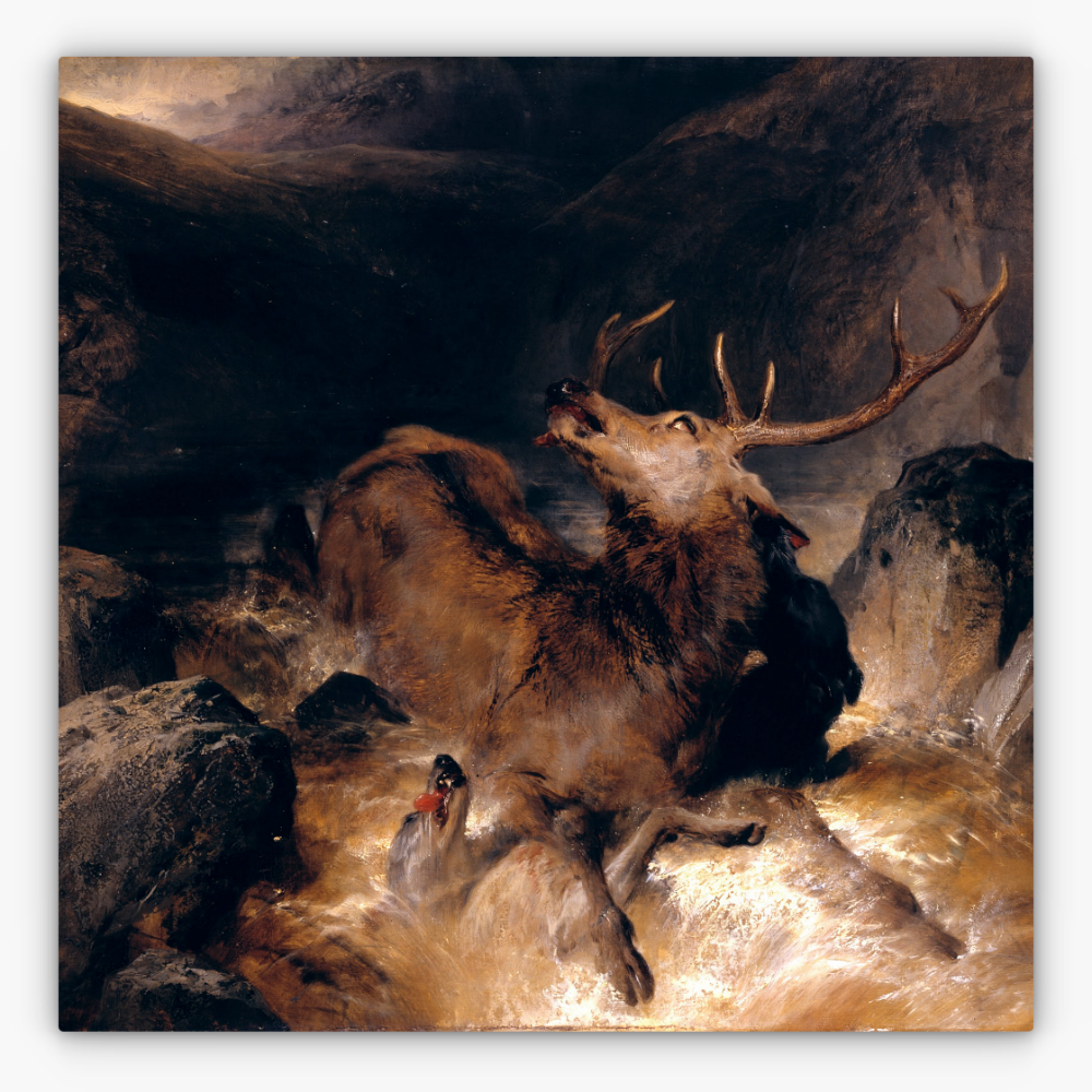 Art Nr. 02.999.704