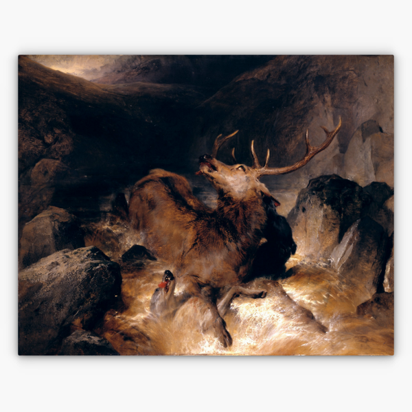 Art Nr. 02.999.704