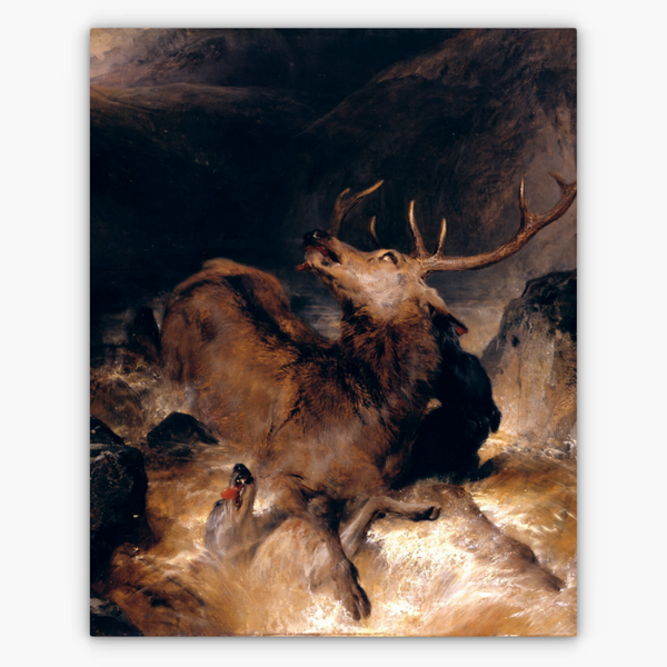 Art Nr. 02.999.704