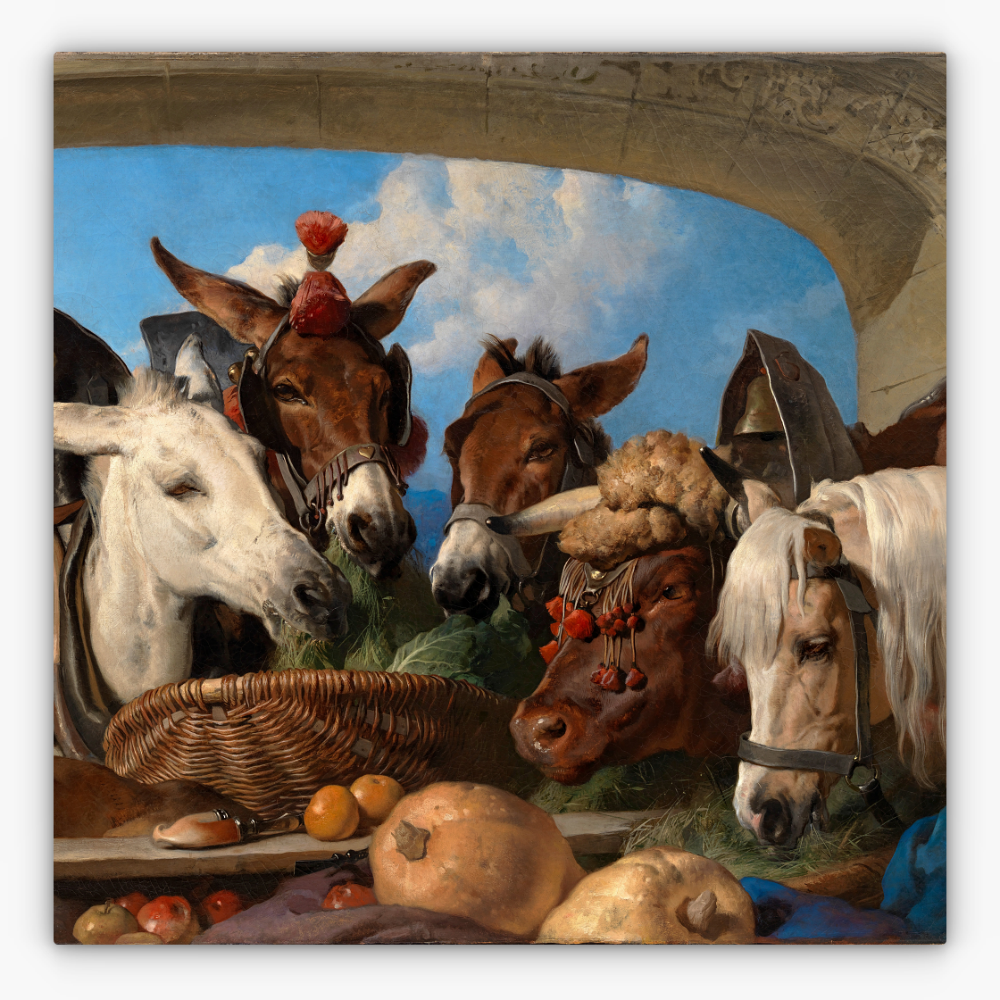 Art Nr. 02.999.707