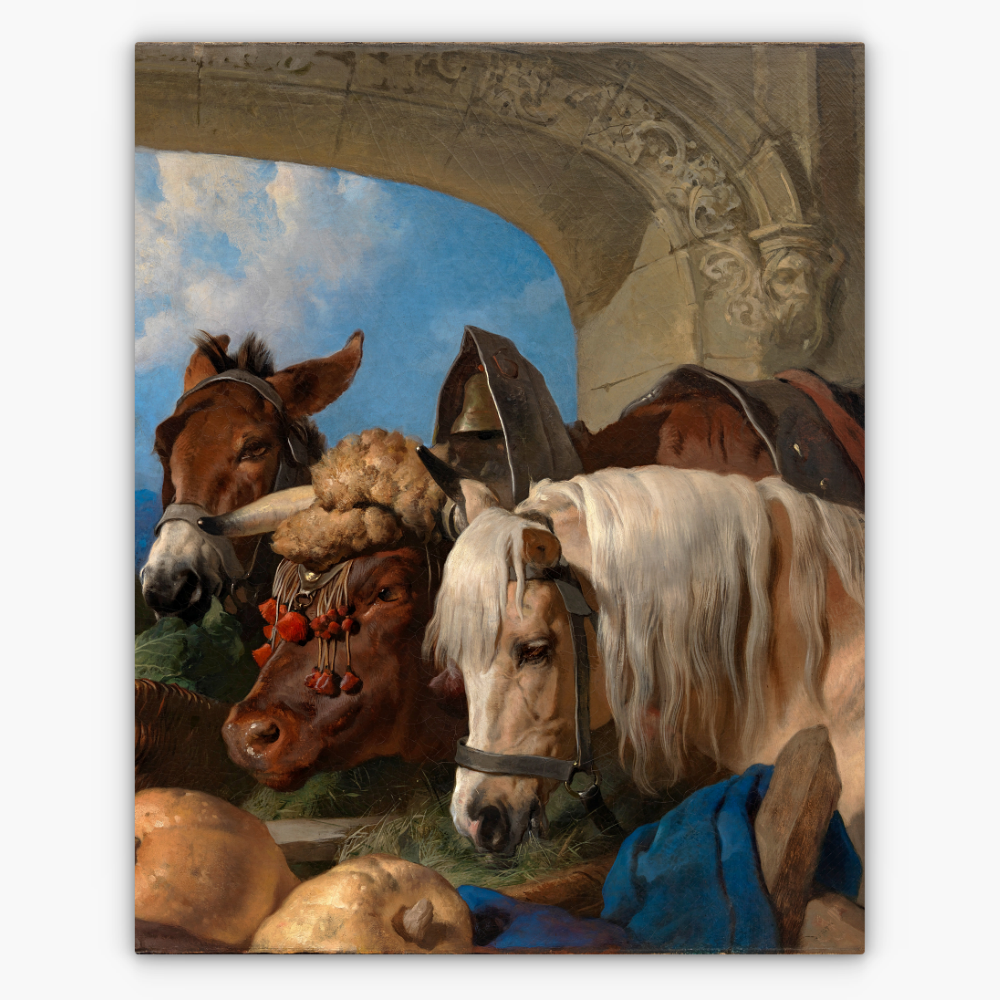 Art Nr. 02.999.707
