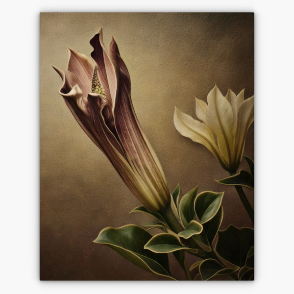 Art Nr. 02.999.716