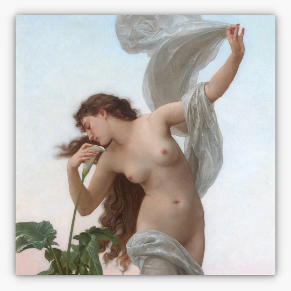 Art Nr. 02.999.788