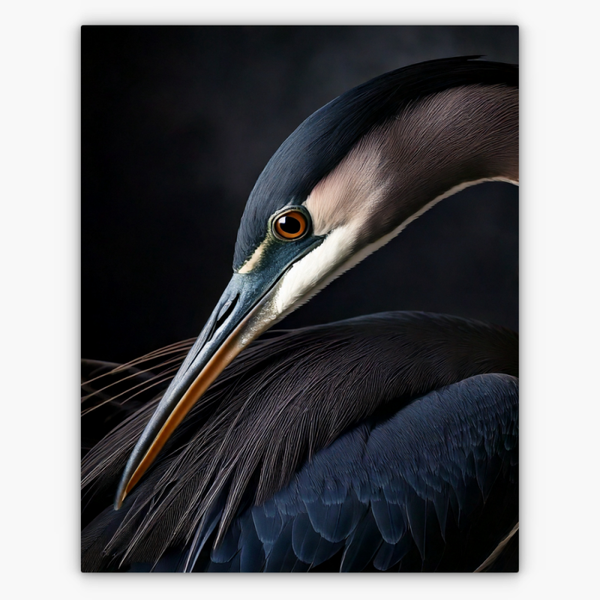 Art Nr. 02.999.802