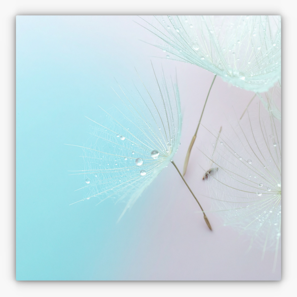 Art Nr. 02.999.833