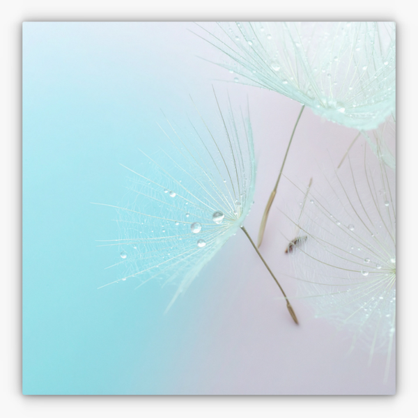 Art Nr. 02.999.833