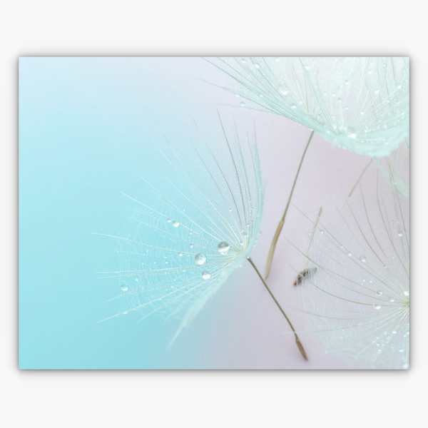 Art Nr. 02.999.833