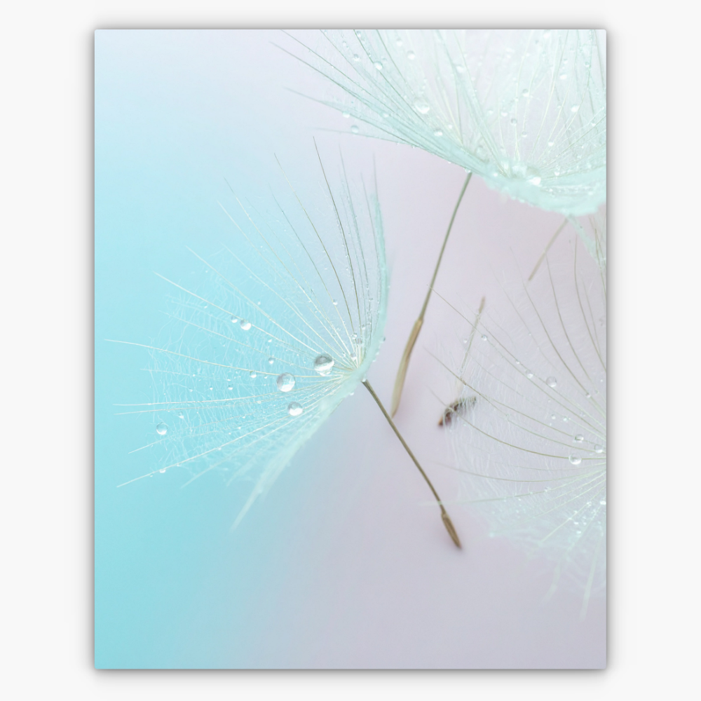 Art Nr. 02.999.833