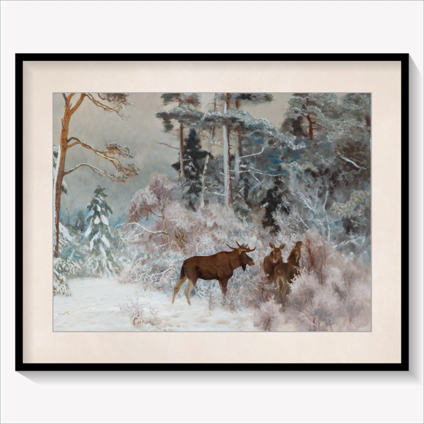 Moose in Winter