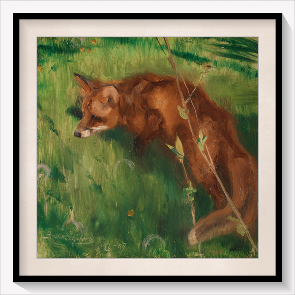 Stalking Fox